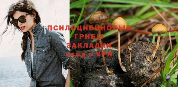 a pvp Алексеевка