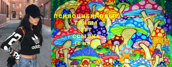 a pvp Алексеевка